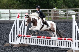 Class 3 -  Fences not above 2'3